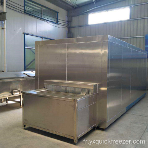 IMPACT Tunnel Freezer pour le traitement des poissons